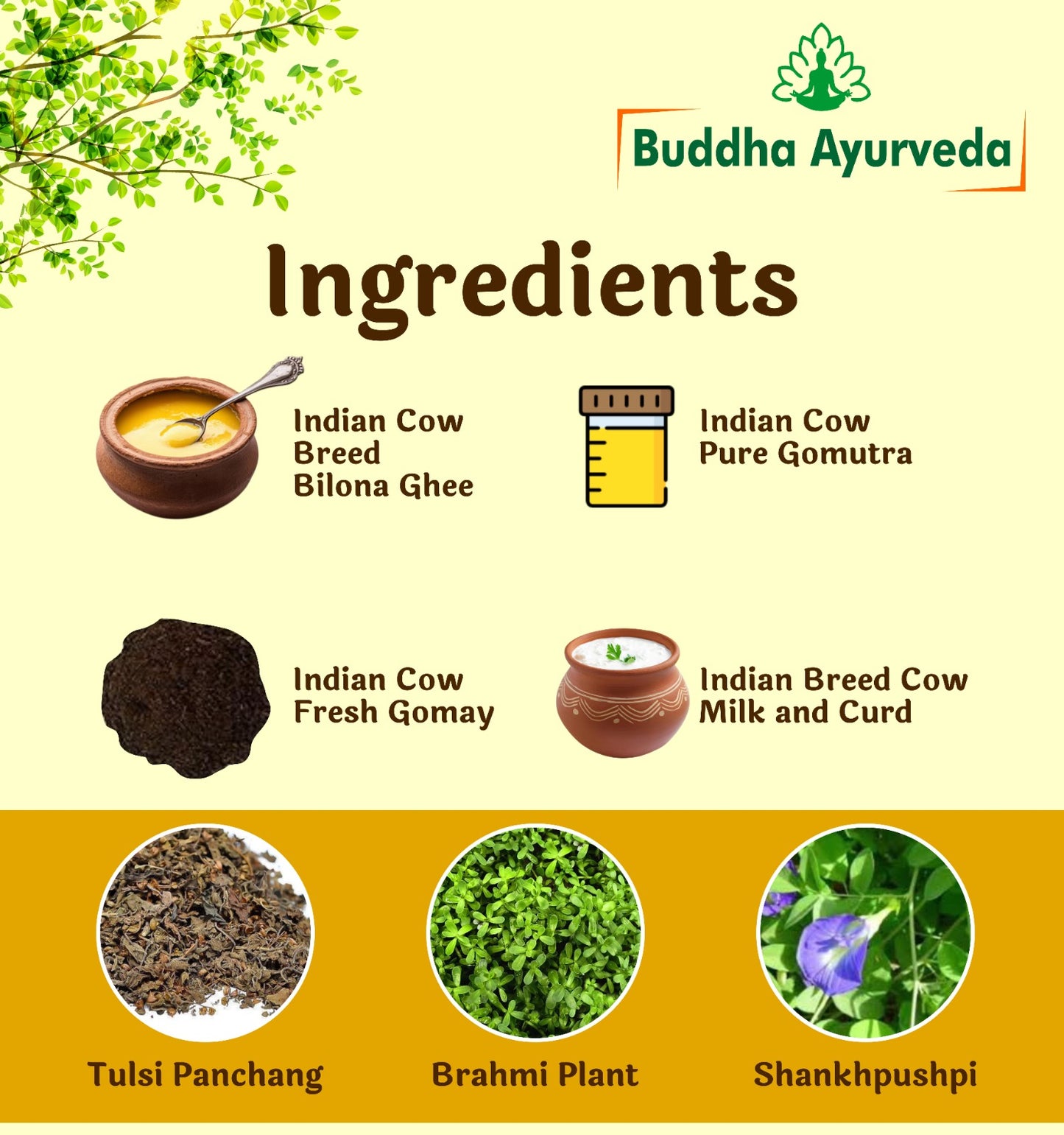 (For Najla) Buddha Ayurveda Sanjeevani Booti Nasal Drop 20ml