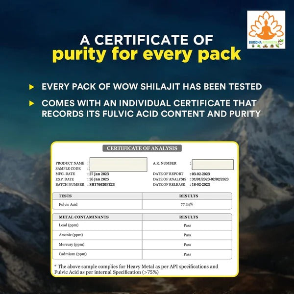 Buddha Yoga Shudh Shilajit