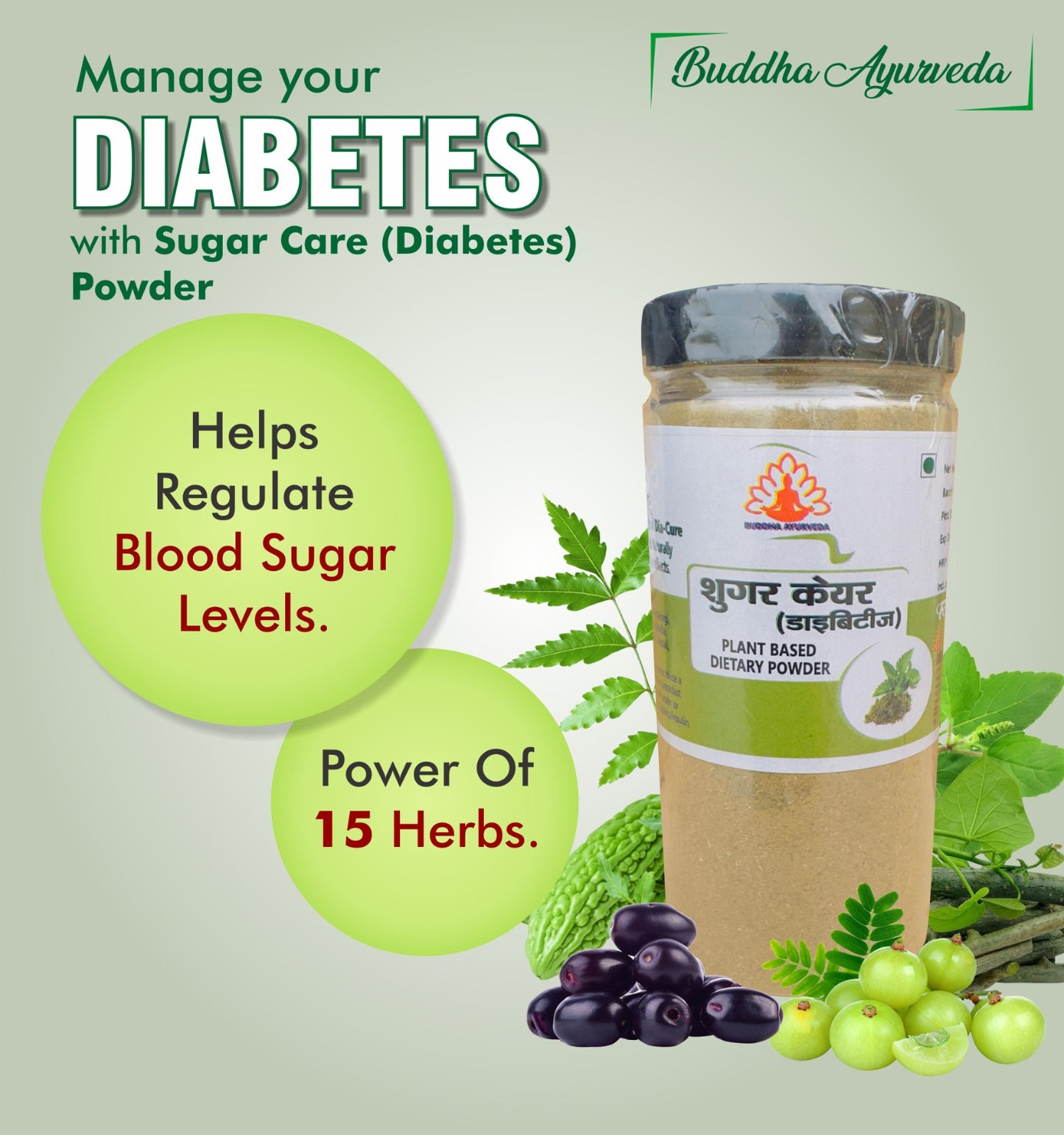 Buddha Ayurveda Sugar Care (Diabetes) Plant-Based Dietary Powder 250gm