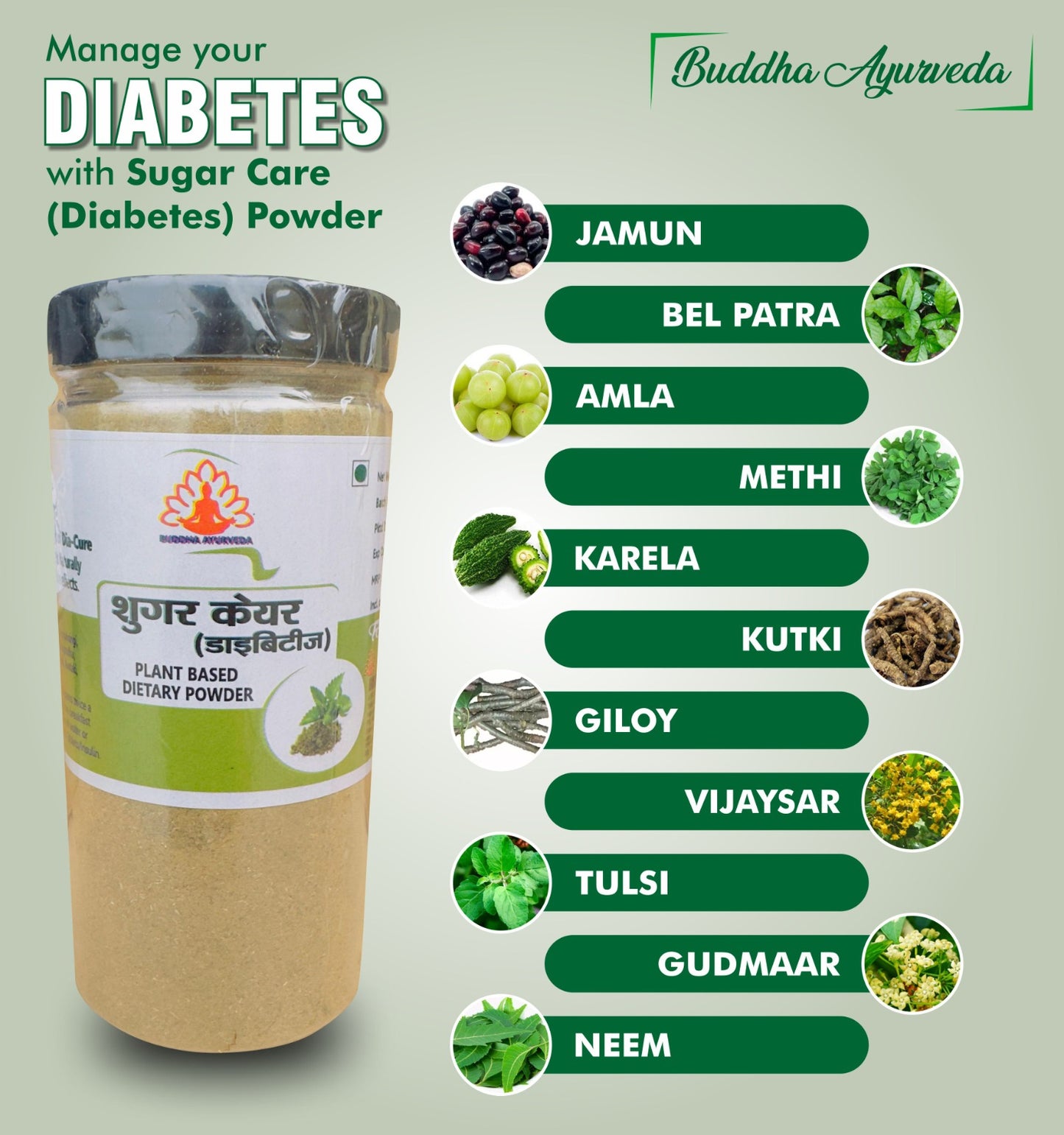 Buddha Ayurveda Sugar Care (Diabetes) Plant-Based Dietary Powder 250gm